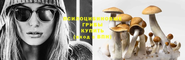 наркотики Абаза