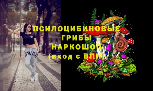 Альфа ПВП Абинск