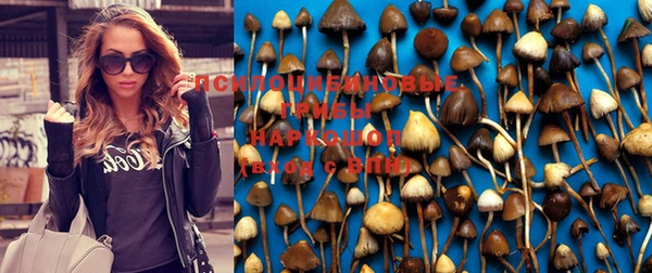 apvp Алексеевка